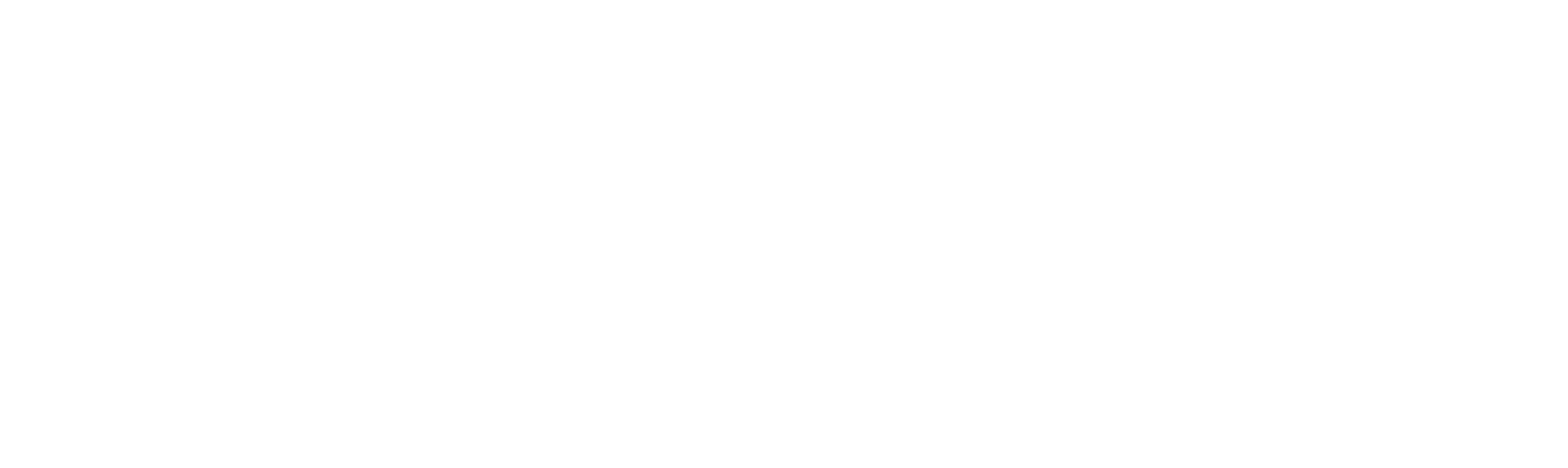 DigiELV